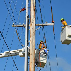 Diseño, Construcción y/o Mantenimiento Correctivo y Preventivo de redes eléctricas de media y baja tensión