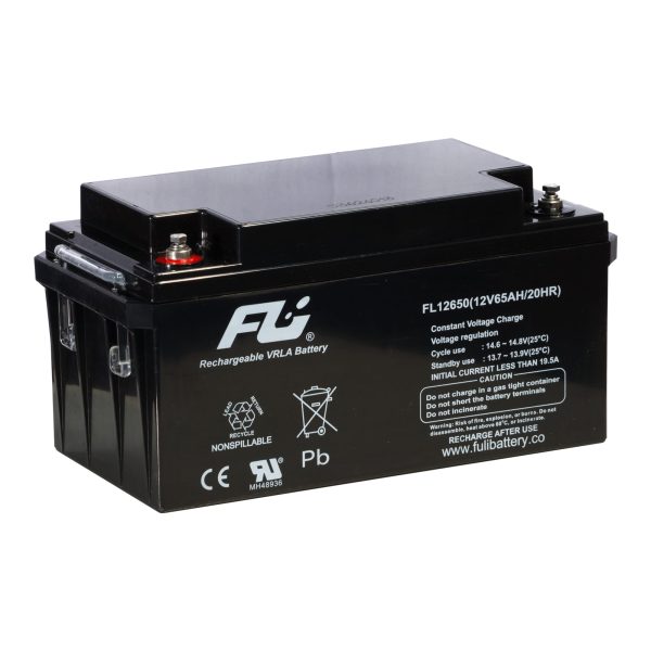 12V-65AH-1